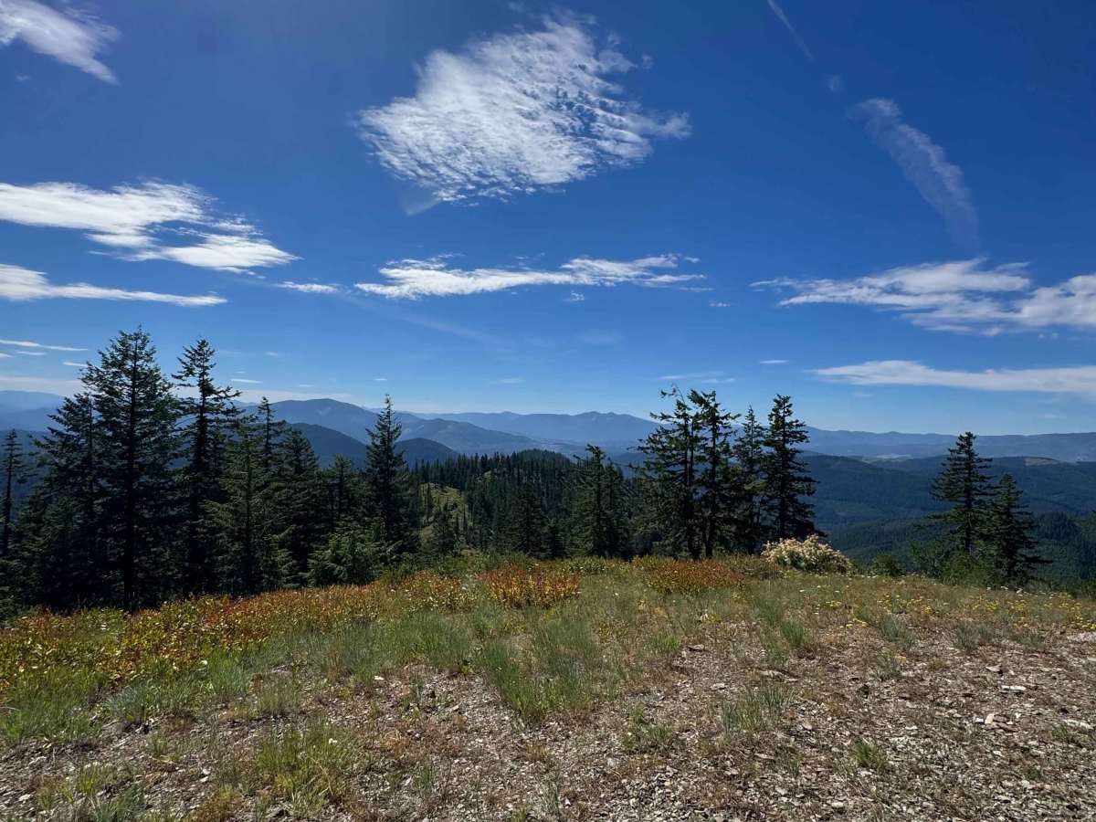 Bumblebee Peak photo 6