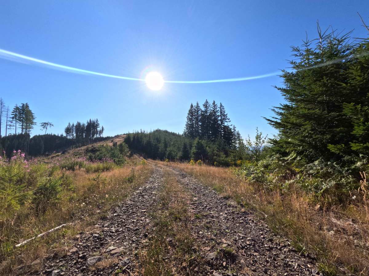 Crazy Man Mountain - W-546 photo 6