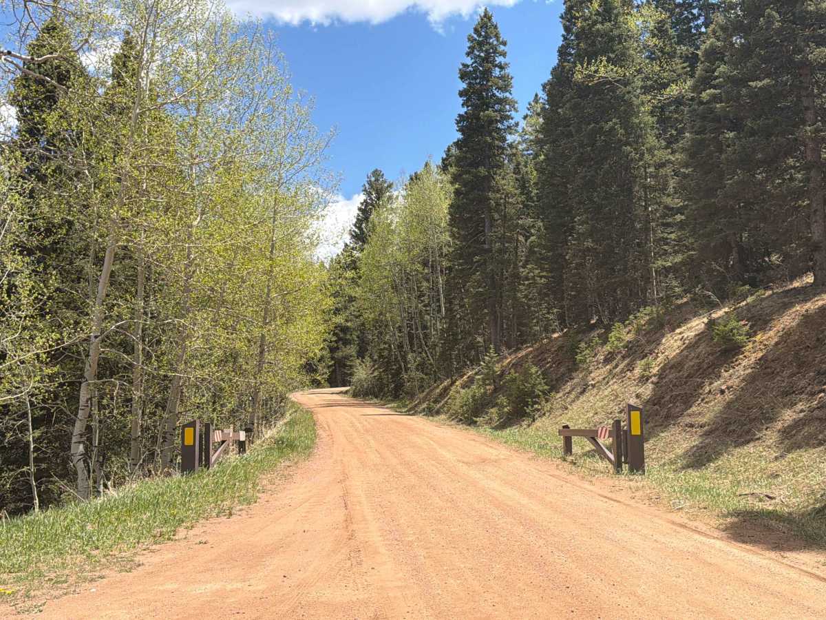 Ophir Creek Road photo 5