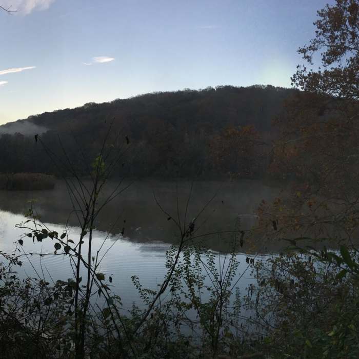 Near Paper Mill Road Trails at NCR