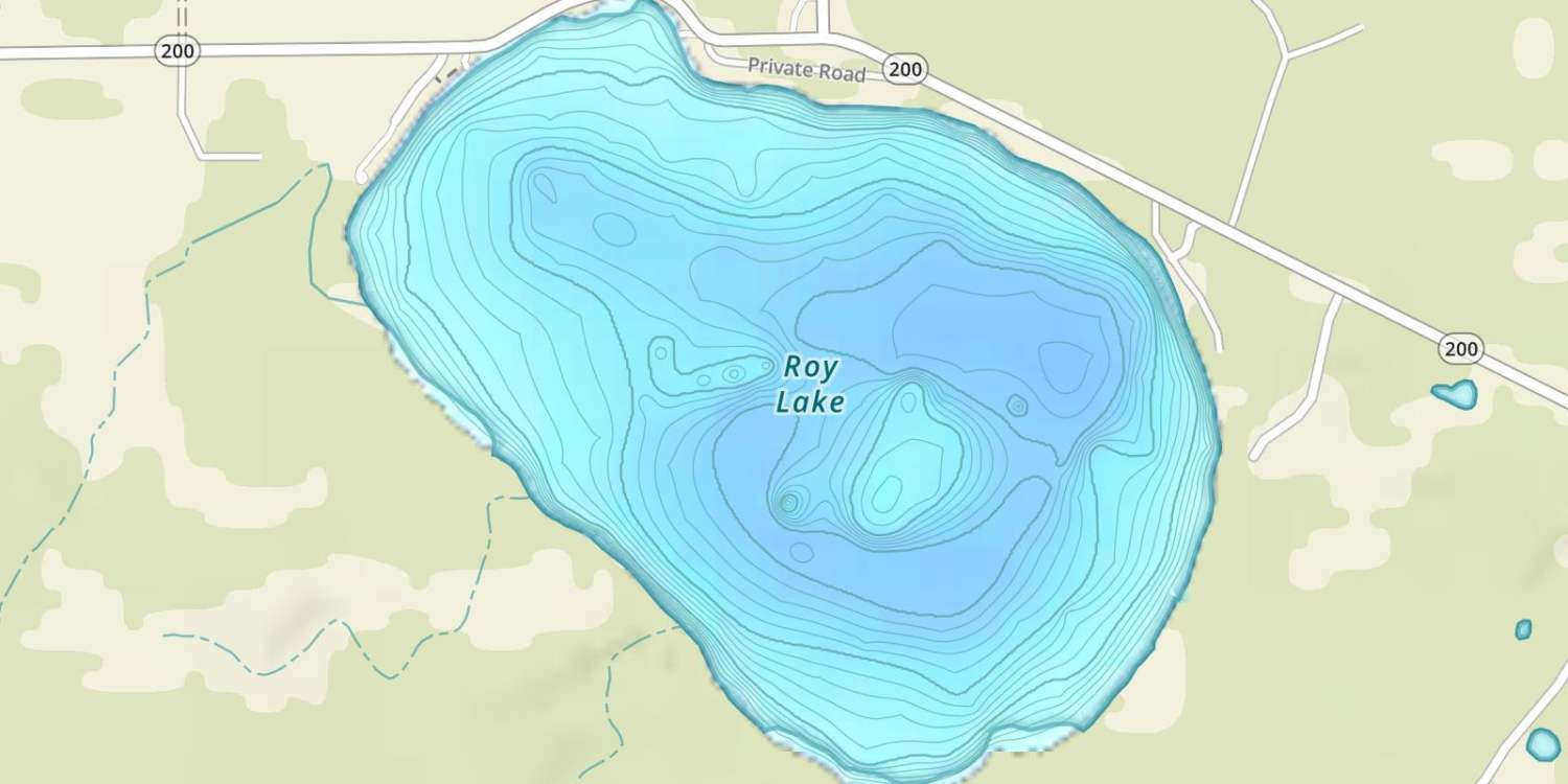 Roy Lake