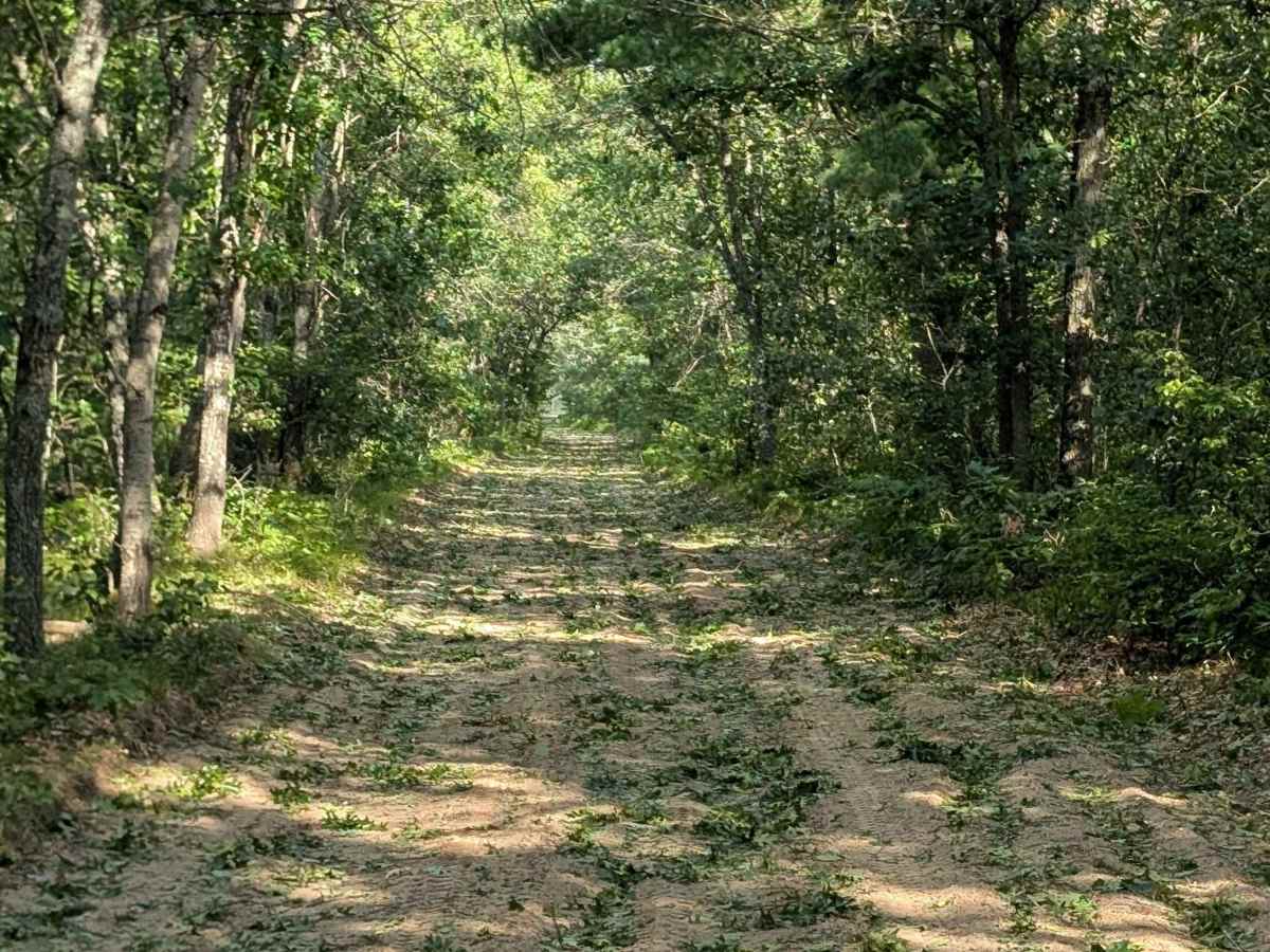 Wentworth Road trail photo