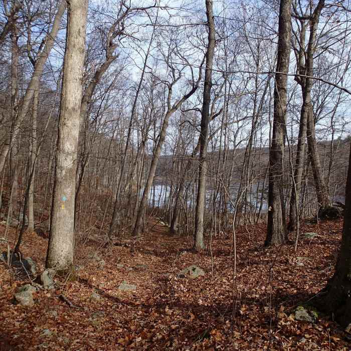 Bearfort Waters Clinton Trail Near Buckabear Pond Loop via Bearfort Waters - Clinton Trail