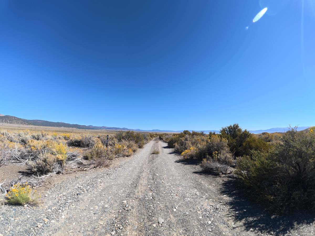 Dechambeau Ranch trail photo