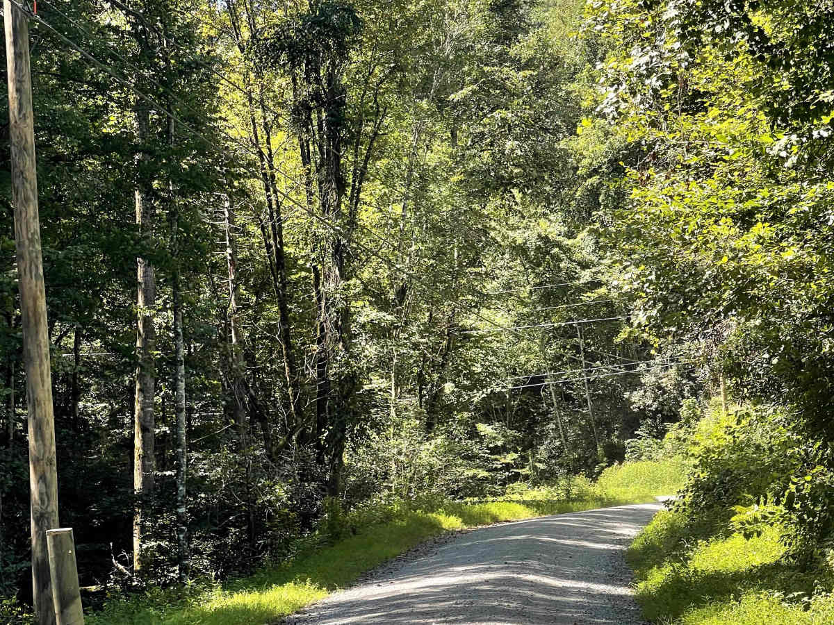 State Route 90 photo 3