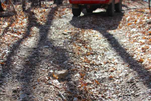 Flatwoods Spur B - FS 2438B