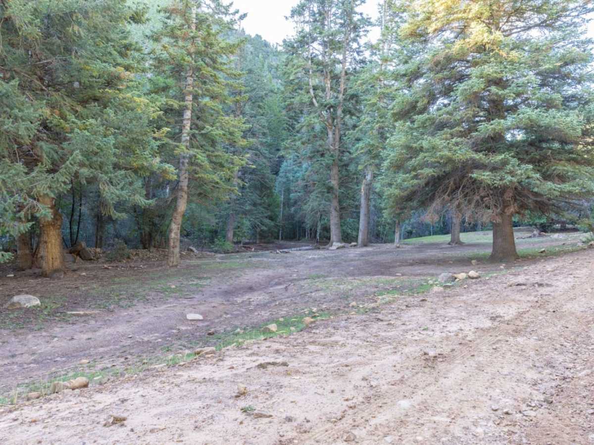 Willow Creek Canyon Road photo 6
