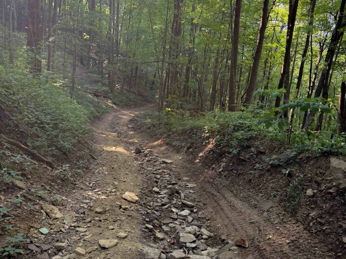 Dry Fork Trail  photo 4