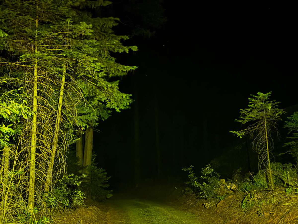 Indian Hill South photo 5