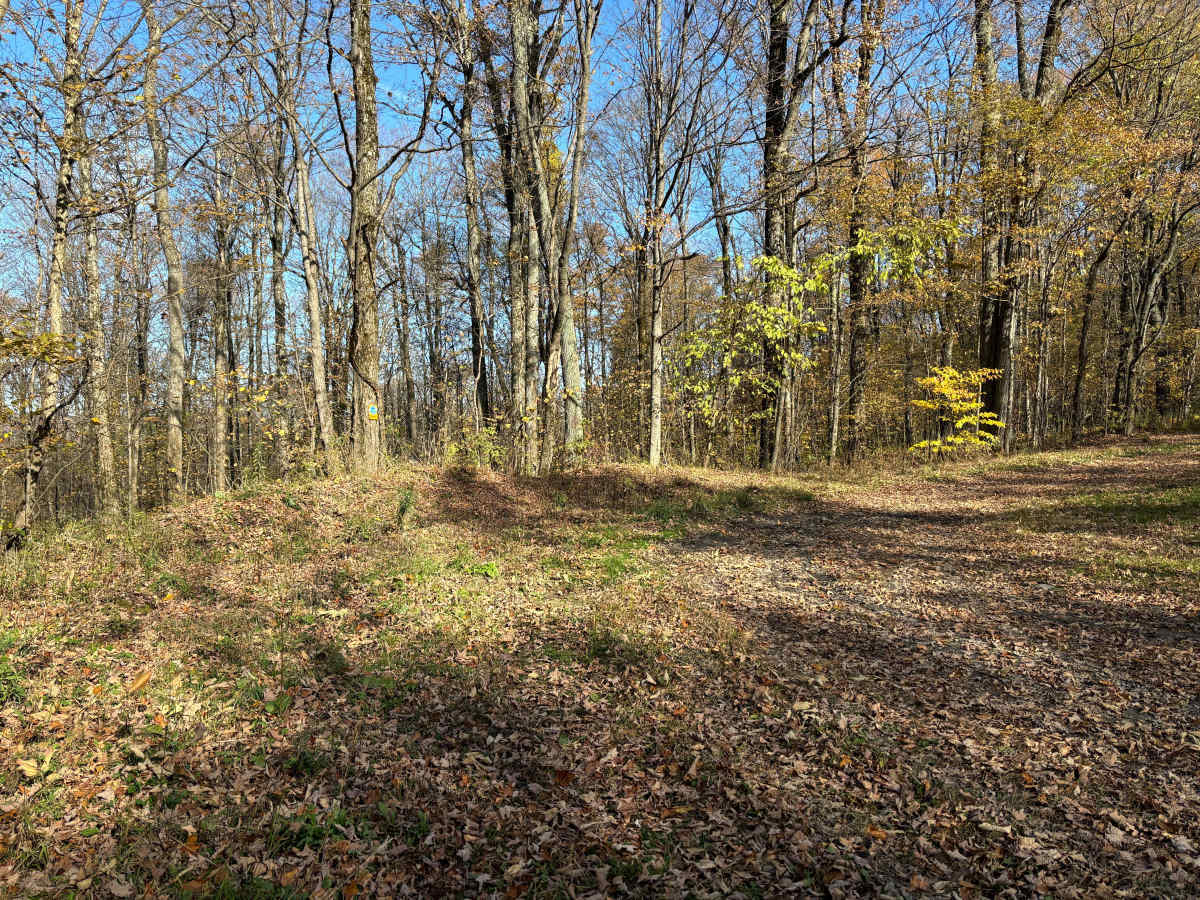 Maxon Creek State Forest photo 6