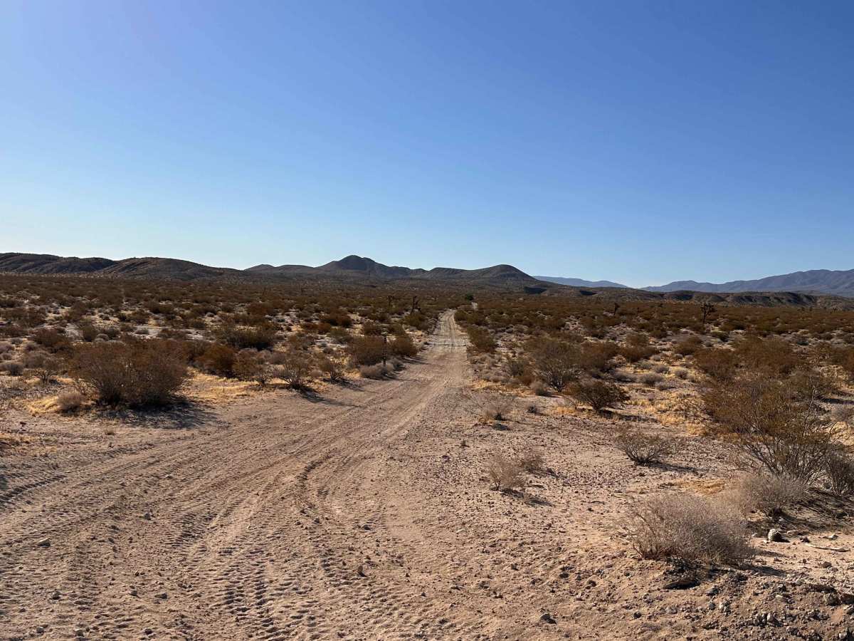Twin Bumps Trail photo 2