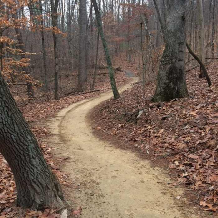 The Prison Camp Trail winds through the forest on beautiful, buff singletrack. Near Hollow Rock Trail