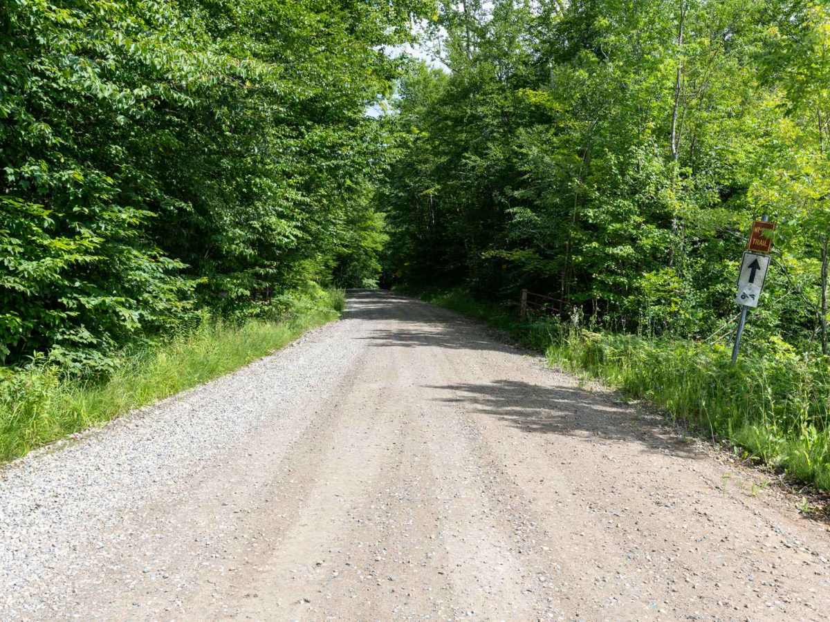 Perkins Clearing Road photo 2