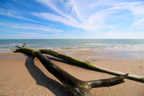Matagorda Beach