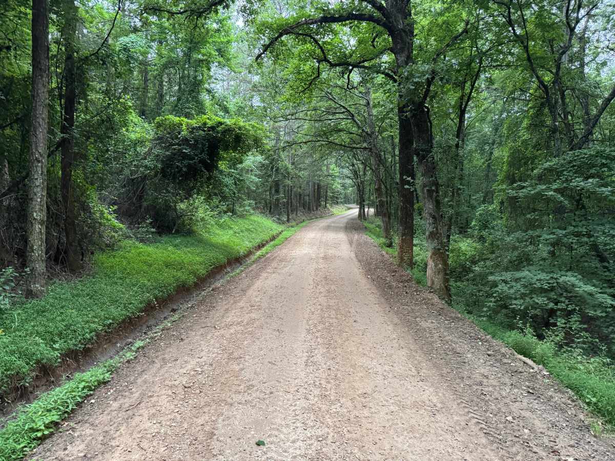 County Road 3380 photo 5