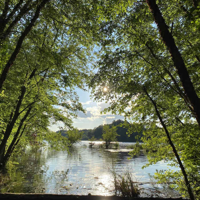 Lake view Near Winnekenni Recreation Area