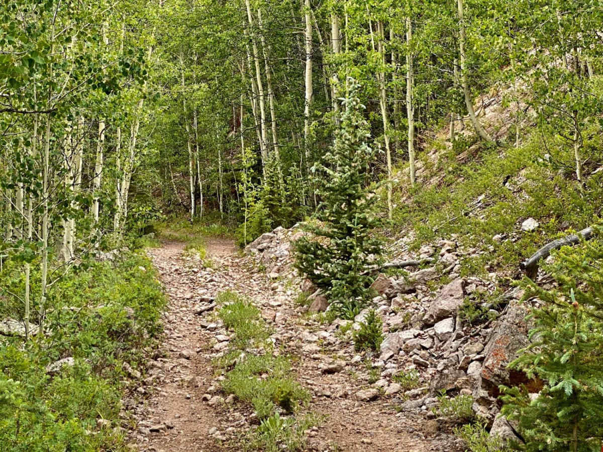 Middle Rat Creek Road - NF 504-1B photo 6
