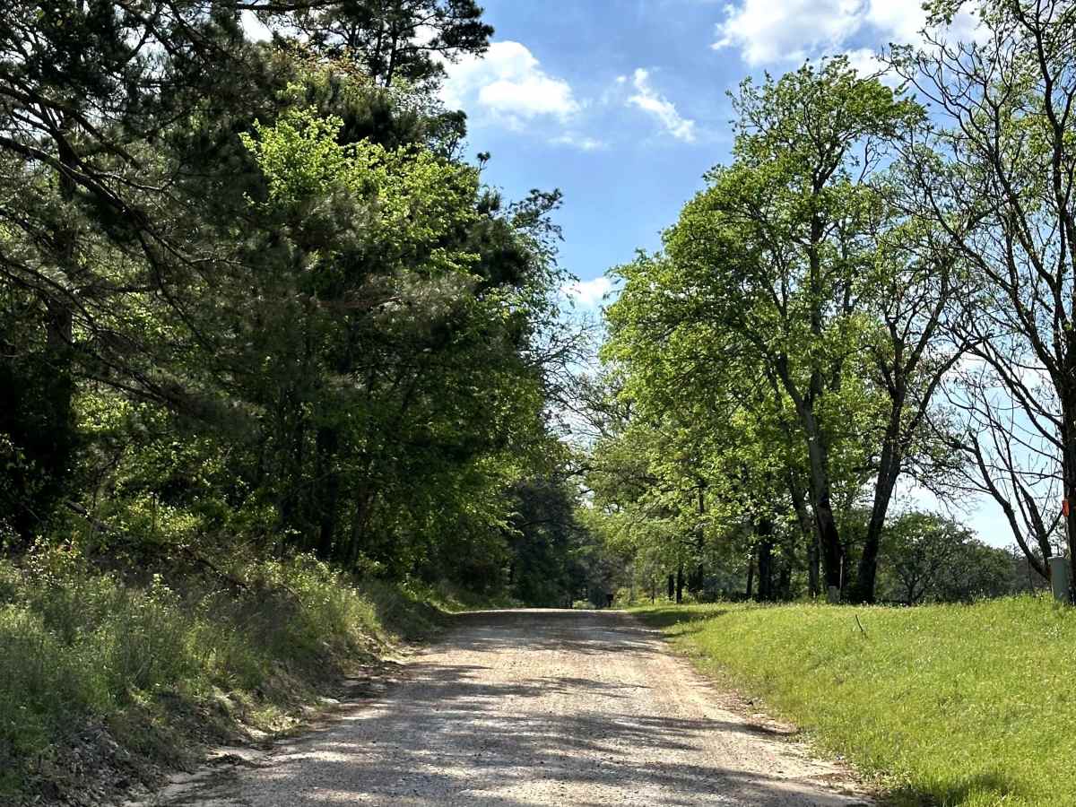 Bill Adams Fork photo 2