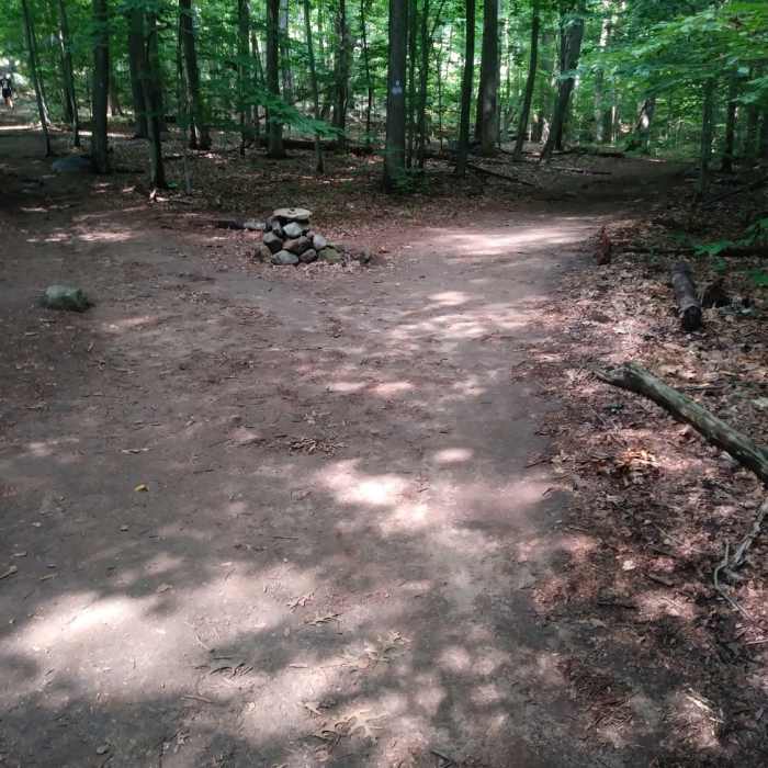 Most of the trail is blue, but after the bridge you come to a fork (both blue) go right to get to the orange trail. Near Pyramid Mountain Loop
