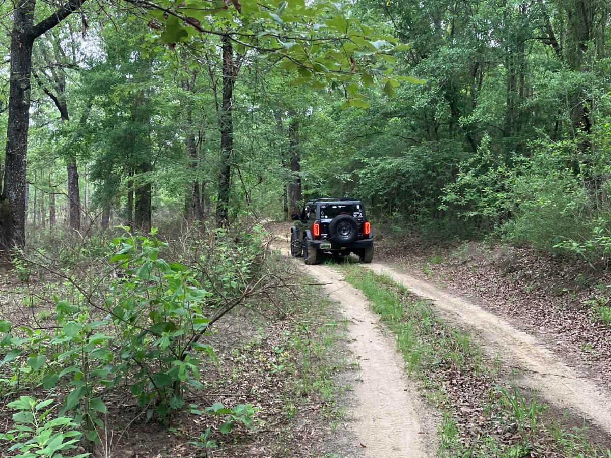 S109 photo 4