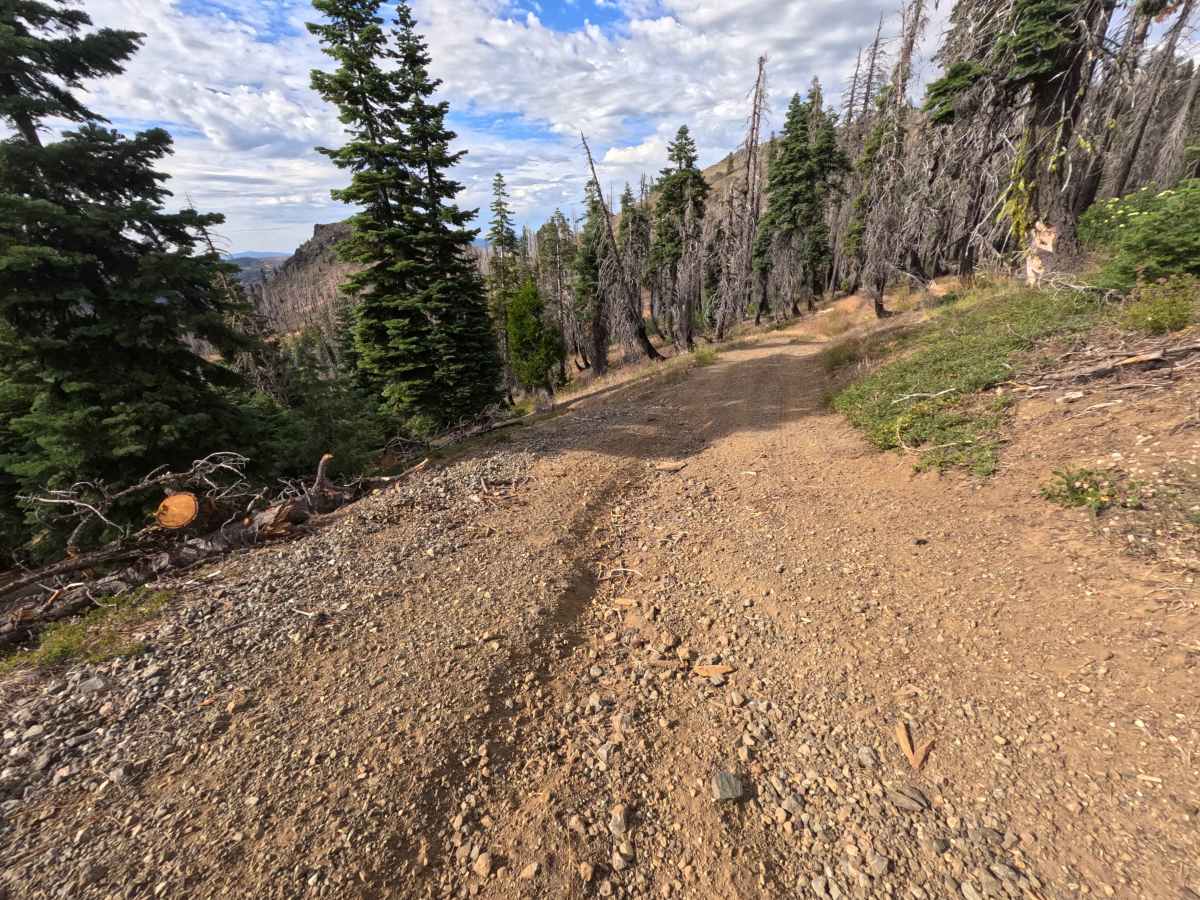 Buckhorn Ridge - FS 21N87 photo 4