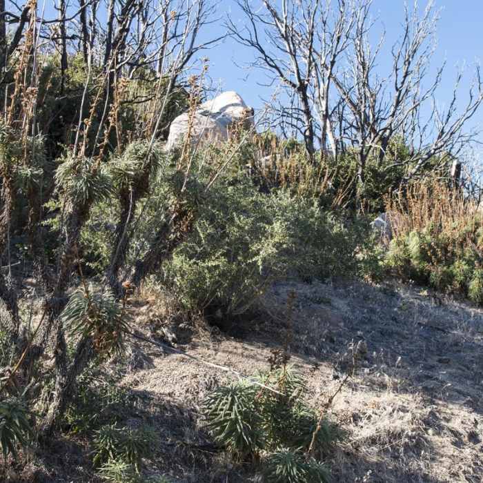 Near Three Points Ridge Hike