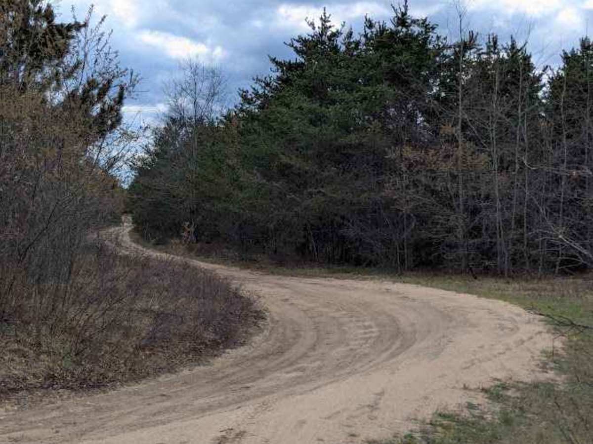 Owens Pond photo 5