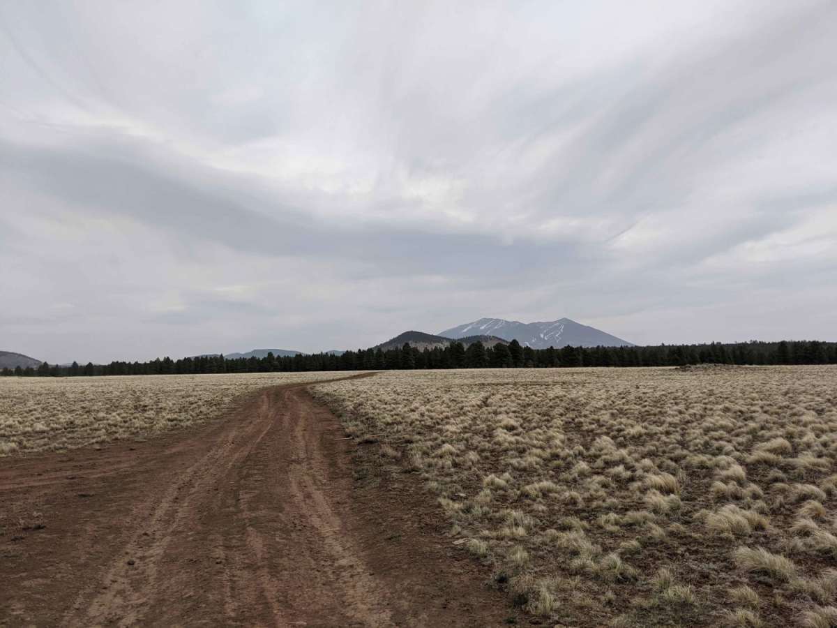 Blue Tree Road trail photo