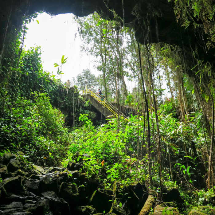 Near Kaumana Caves Near Kaumana Caves