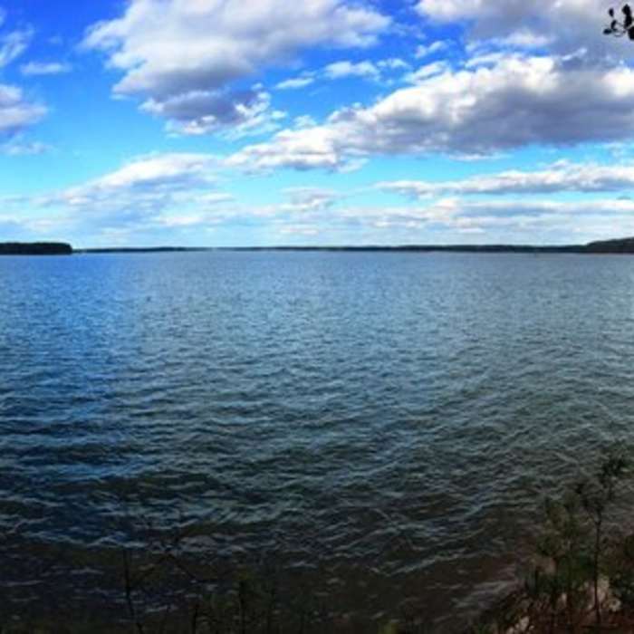 Near New Hope Overlook - Red-Blue Trails