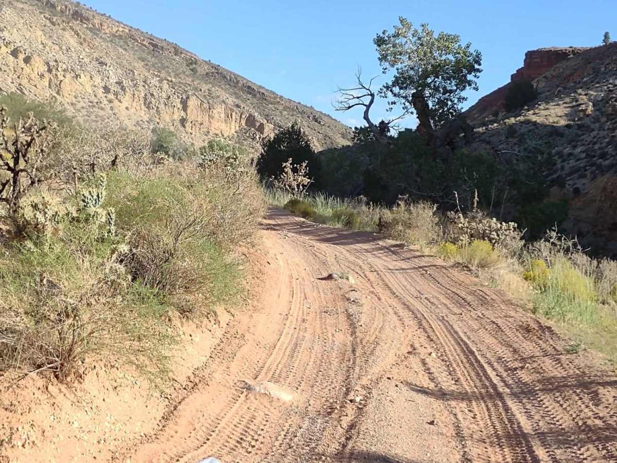 Rattlesnake Gulch to Toquerville Falls photo 5