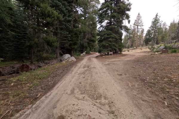 Stump Springs Road - FS 7S005