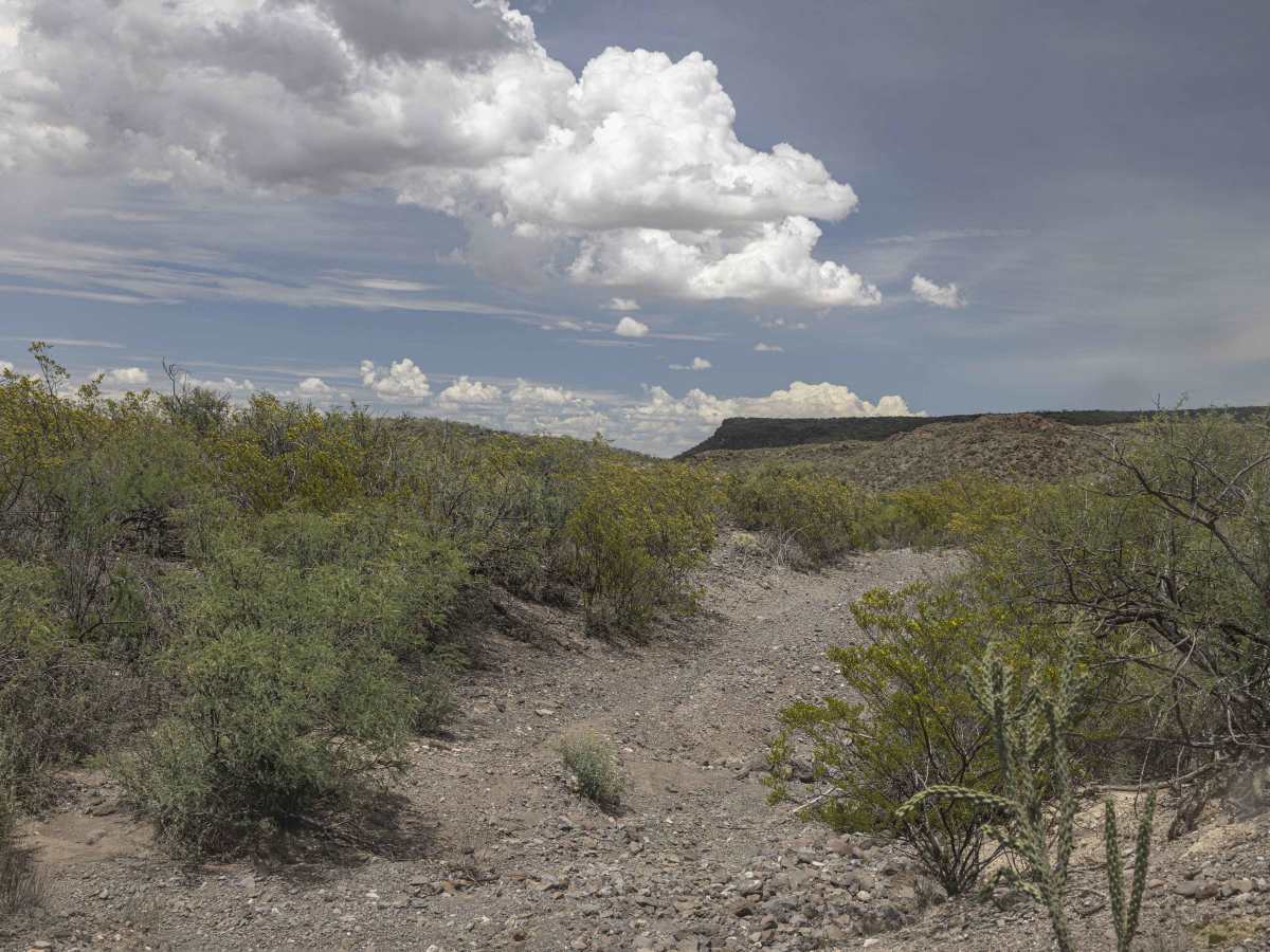 BBRSP Cerro Prietto Windmill Road trail photo