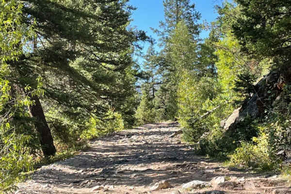 Lime Creek Road