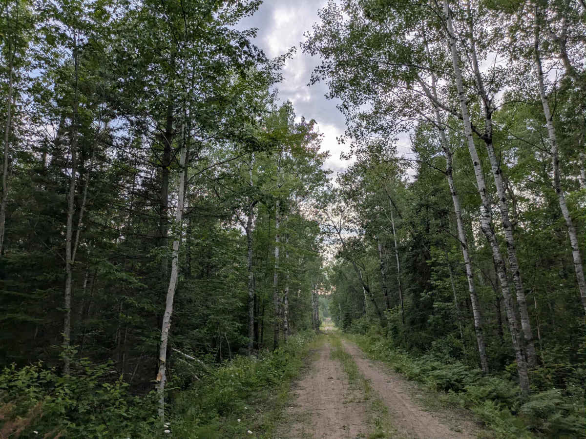 FS 129 trail photo