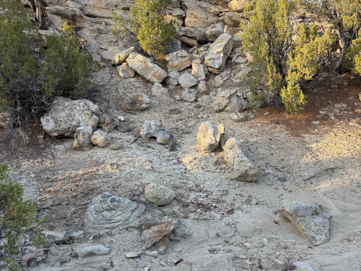 One Mile Trail photo 6