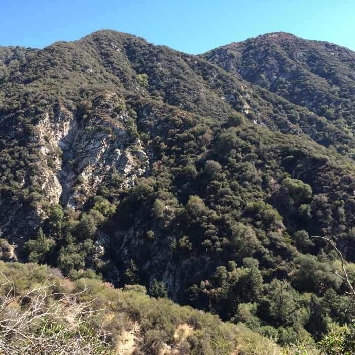 Near Jones Peak Saddle Connector