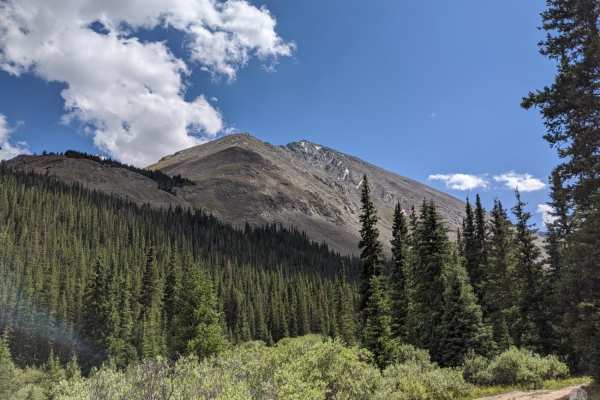 Grizzly Gulch
