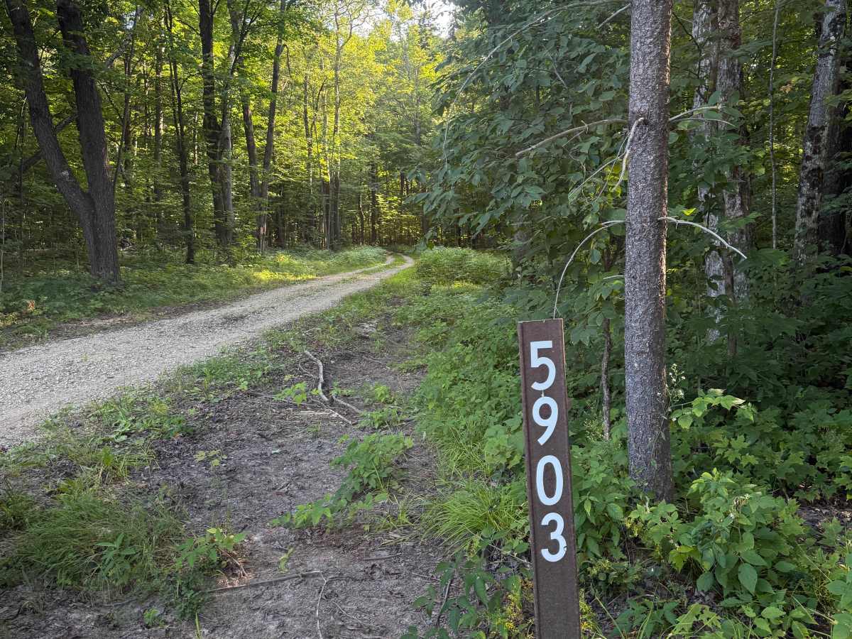 FS 5903 trail photo