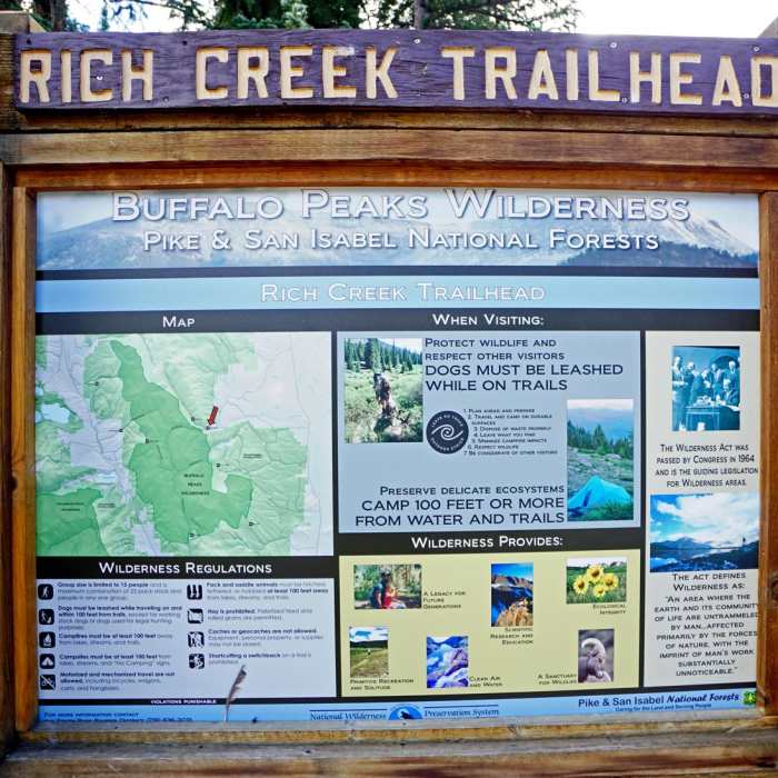 Near Buffalo Peaks Wilderness Loop