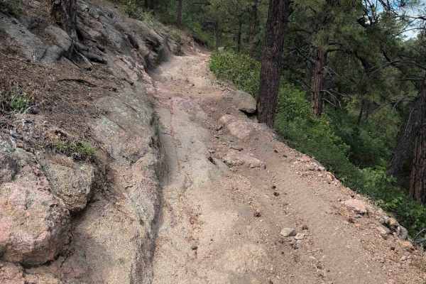 Stultz Trail - FS 1334