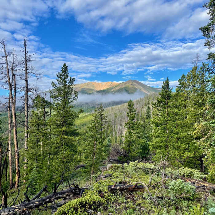 Near Continental Divide Trail: Colorado Section 38