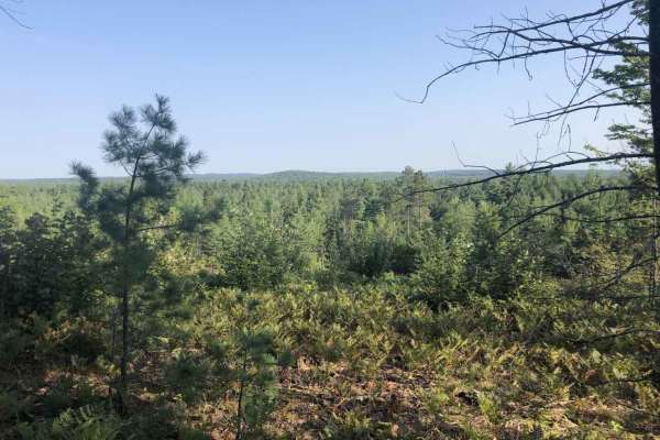 West Missaukee Trail Loop