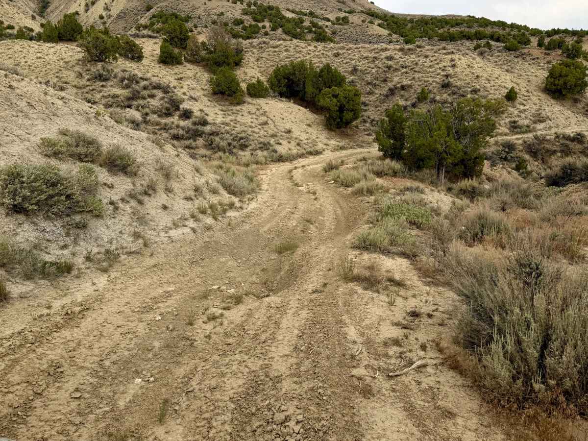Widow Maker Road photo 2