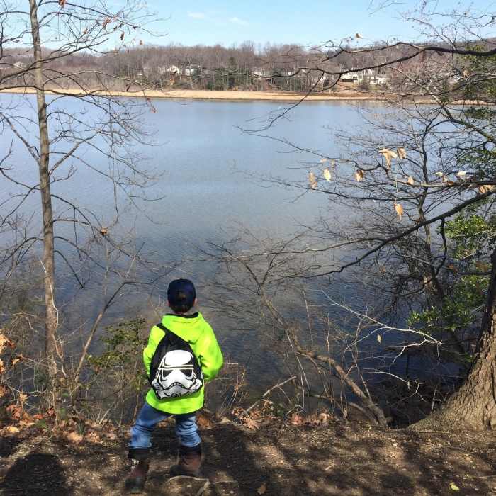 Near Government Island Park Trail
