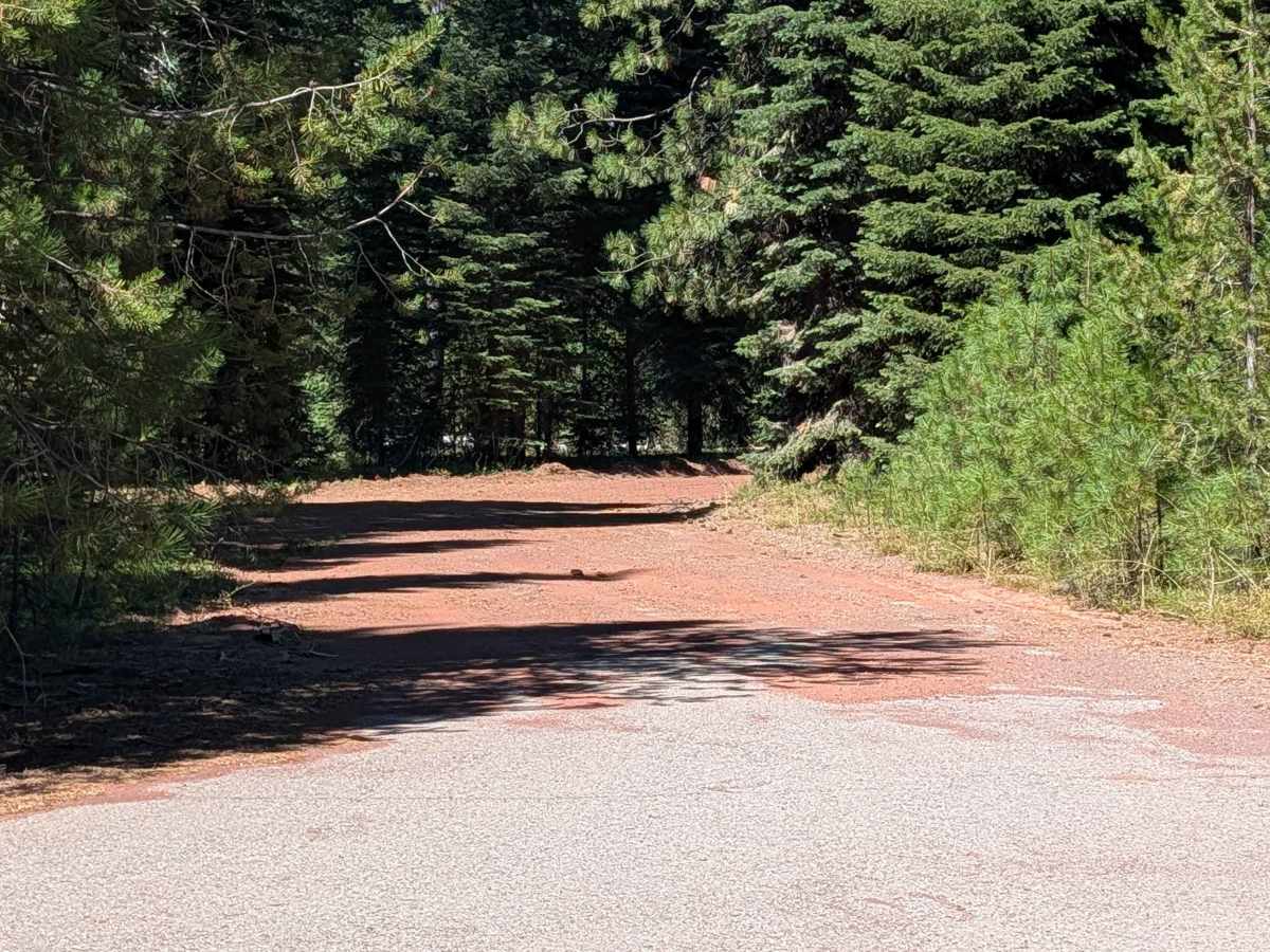 Deter Spur - FS 41N41 trail photo