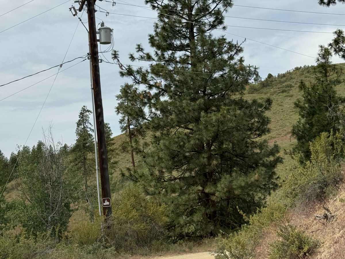 Cooper Mountain Road Southwest - FS 8020 photo 2