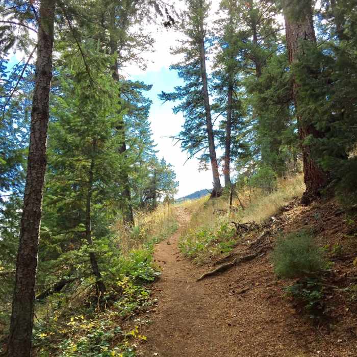 Near Eldorado Canyon Trail