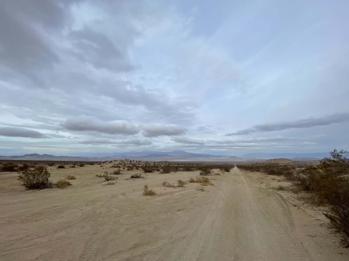 Sand Highway photo 3