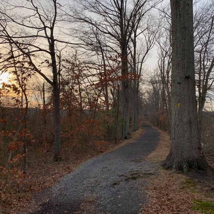 Near Otter Point Trail